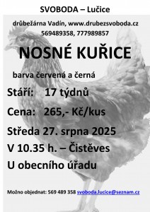 Kuřice 25.08.2025